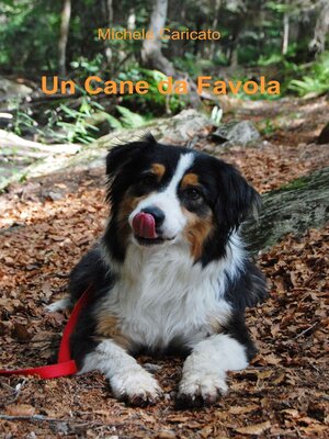 cover image of Un cane da favola